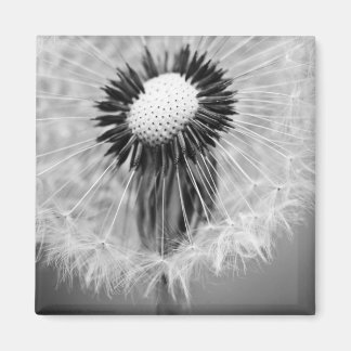The Seeds of Tomorrow Magnet