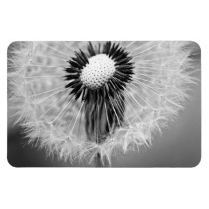 The Seeds of Tomorrow Magnet