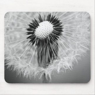 The Seeds of Tomorrow Mouse Pad