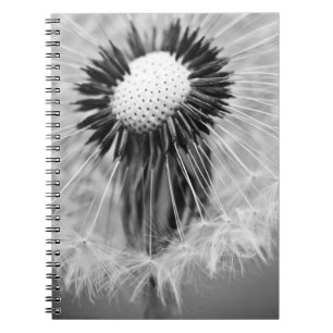 The Seeds of Tomorrow Notebook