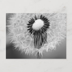 The Seeds of Tomorrow Postcard