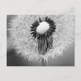 The Seeds of Tomorrow Postcard