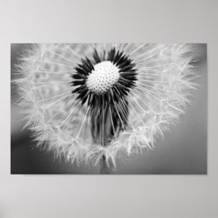 The Seeds of Tomorrow Poster