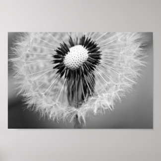 The Seeds of Tomorrow Poster