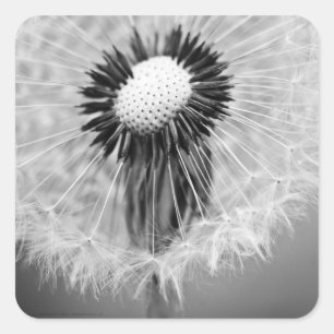 The Seeds of Tomorrow Square Sticker