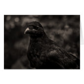 The Seeker (Front Horizontal)