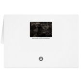 The Seeker (Back Horizontal)