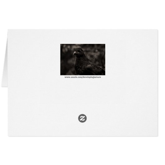 The Seeker (Back Horizontal)