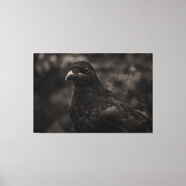 The Seeker Canvas Print (Front)