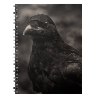 The Seeker Notebook