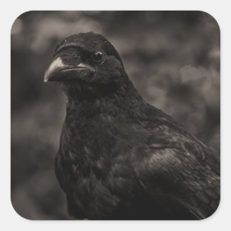 The Seeker Square Sticker