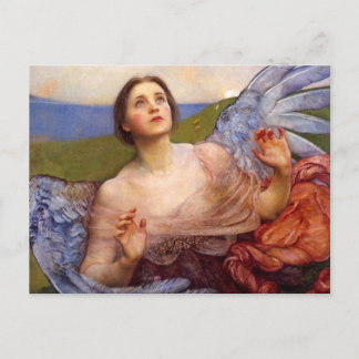 The Sense of Sight Postcard