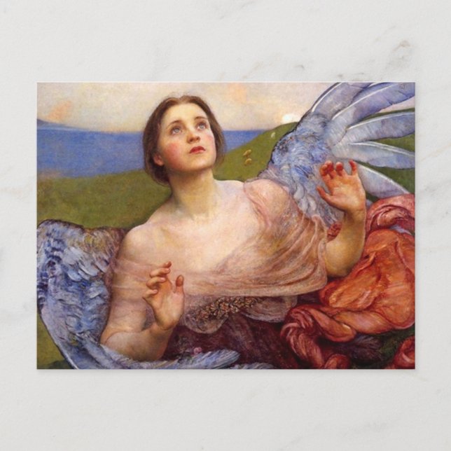 The Sense of Sight Postcard (Front)