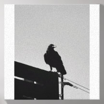 The Sentinel