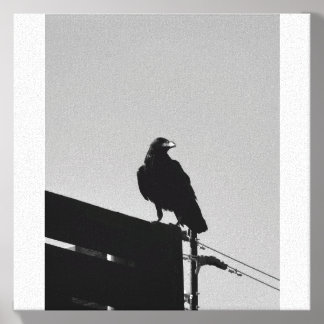 The Sentinel Canvas Photo Tile