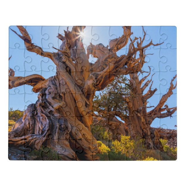 The Sentinel Tree Jigsaw Puzzle (Puzzle Horizontal)