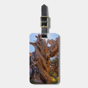 The Sentinel Tree Luggage Tag