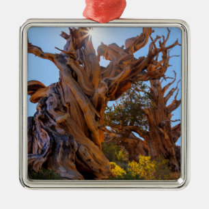 The Sentinel Tree Metal Ornament