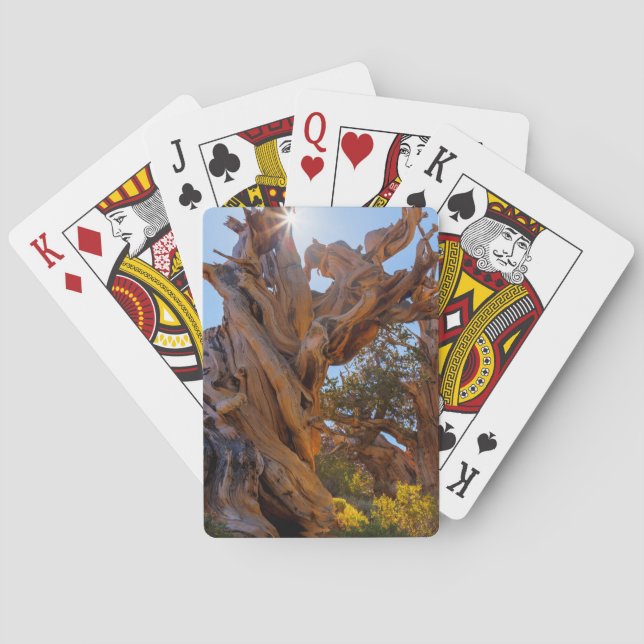 The Sentinel Tree Poker Cards (Back)