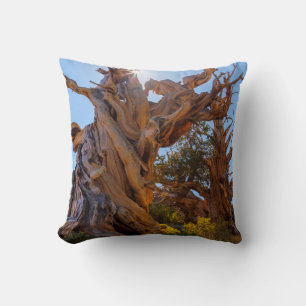 The Sentinel Tree Throw Pillow
