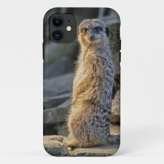 The Sentry 2 iPhone 5 Case-Mate Case