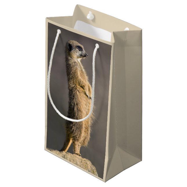 The Sentry Gift Bag (Front Angled)