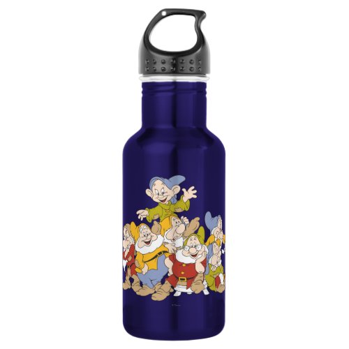 The Seven Dwarfs 6 Stainless Steel Water Bottle