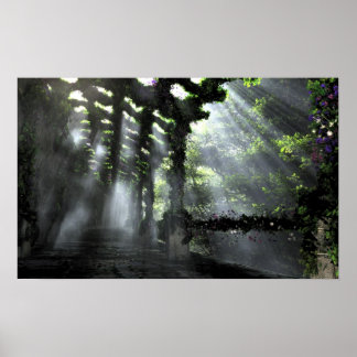 The Shaded Path Poster