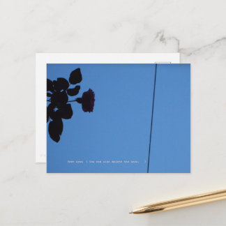 The shadow of a rose emerging darkly. postcard