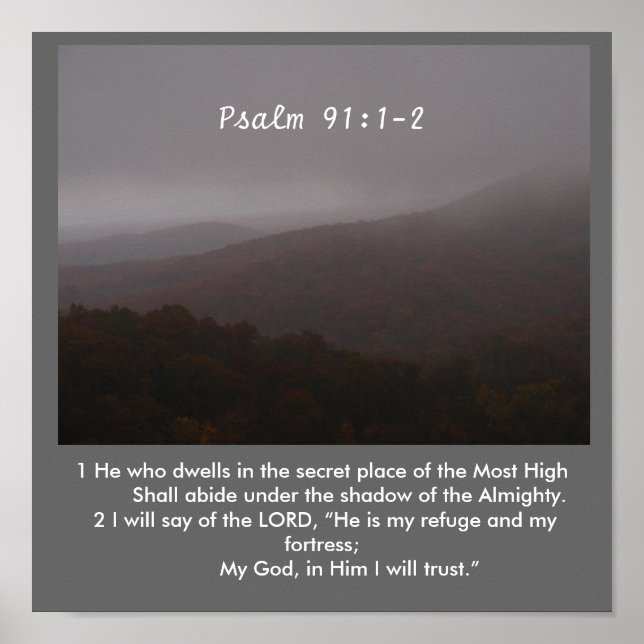 The Shadow Poster (Front)