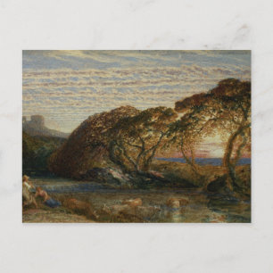 The Shadowy Stream Postcard