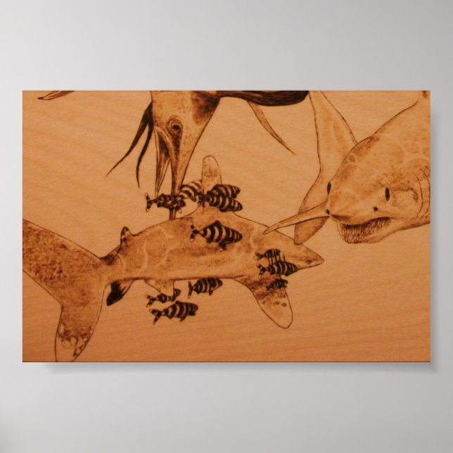 The Shark Bully Poster (Front)