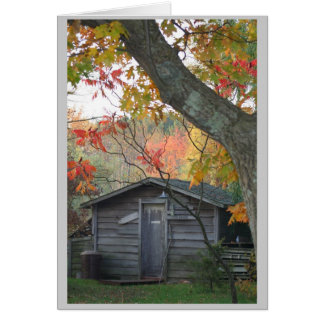 the shed cards