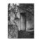 The shed in the cemetery in black and white