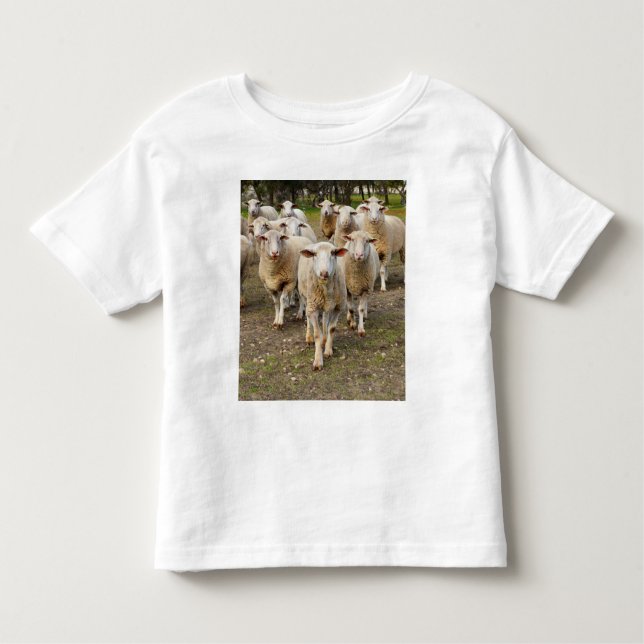 The Sheep Come Marching In Hurrah, Toddler T-shirt (Front)