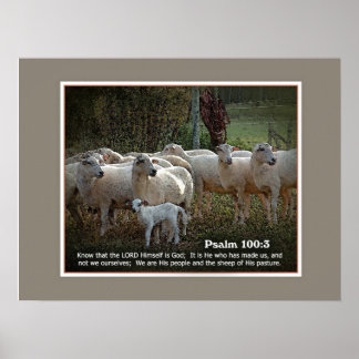 The Sheep of His PasturewScripture Poster