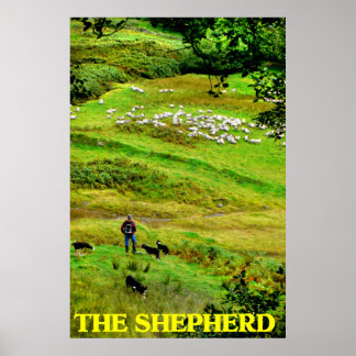 the shepherd poster