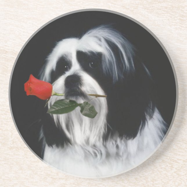 The Shih Tzu Dog Coaster (Front)