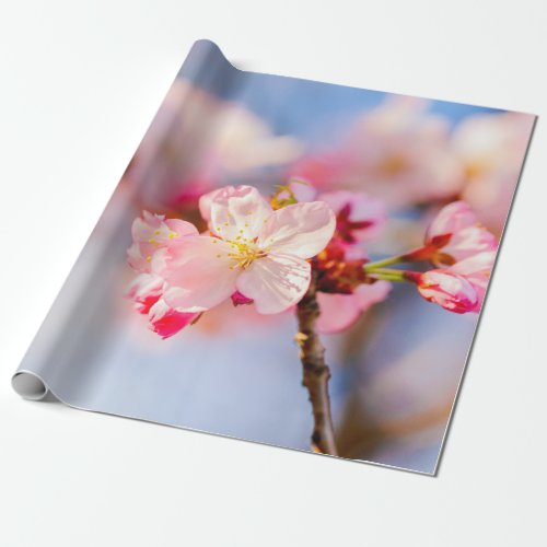 The Shining Beauty Of Pink Sakura Flowers Wrapping Paper