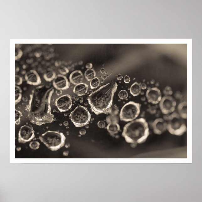 the shoe drops poster (Front)