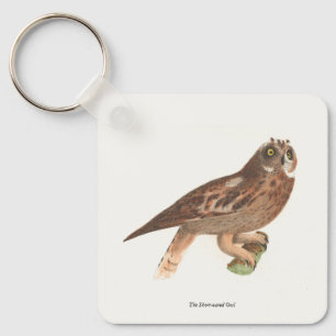 The Short-eared Owl (Otus palustris) New York Bird Keychain