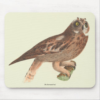The Short-eared Owl (Otus palustris) New York Bird Mouse Pad
