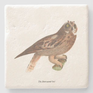 The Short-eared Owl (Otus palustris) New York Bird Stone Coaster