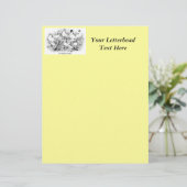 The Short-faced Tumbler Pigeons (Standing Front)