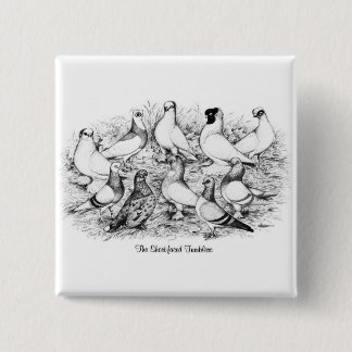 The Short-faced Tumbler Pigeons Button