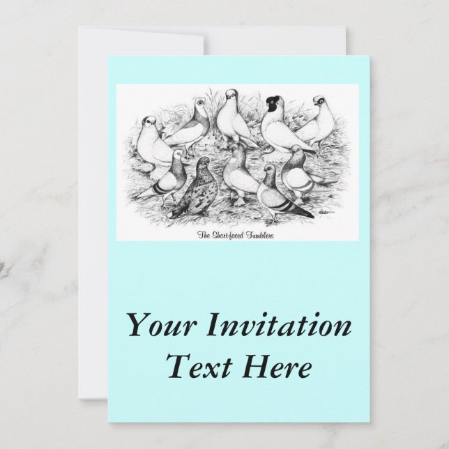 The Short-faced Tumbler Pigeons Invitation (Front)