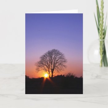 The Shortest Day Holiday Card by Gurumonkey at Zazzle
