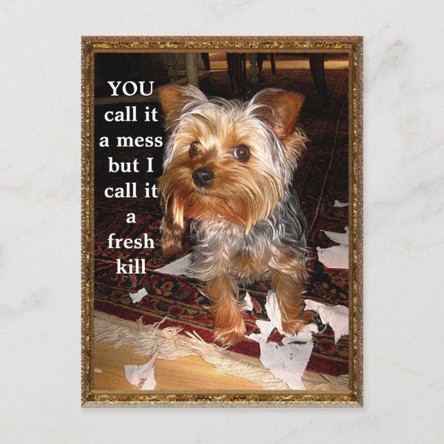 The Shredder Customizable Postcard (Front)