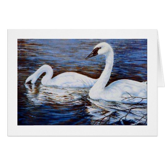 The shy swan cards (Front Horizontal)