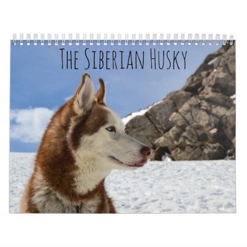 The Siberian Husky Calendar